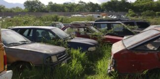 Señalan a Francisco Martínez Neri como responsable del robo en el Encierro Primavera