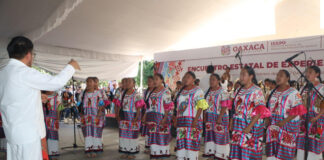 Diversidad cultural, fortaleza de Oaxaca: IEEPO