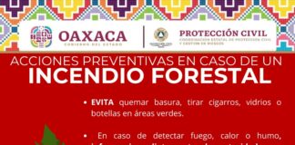 Protección Civil emite recomendaciones ante incendios forestales