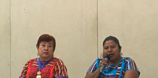 Regidora de San Juan Lalana exige cumplimiento de sentencia por violencia política