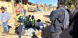 Cae talud de tierra en obra de la colonia Alemán, dos lesionados