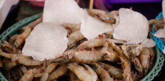 Inauguran Tianguis Cuaresma 2024, Expo Acuícola y Pesquera en la Plaza de la Danza