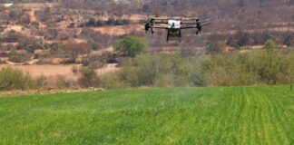 Emplea Sefader uso de la tecnología para combatir plagas en la Mixteca