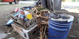 Reitera SSO que la mejor protección ante el dengue es eliminar criaderos del mosquito