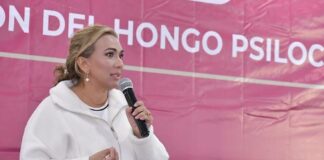 Analizan en el Congreso propuesta de despenalización del hongo psilocybe