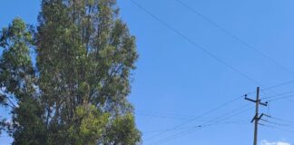 Nuevamente normalistas secuestran camiones en la ciudad capital