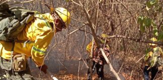 Liquida Coesfo incendios en la Cuenca y la Costa