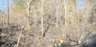 Controlado incendio forestal en San Pedro y San Pablo Ayutla