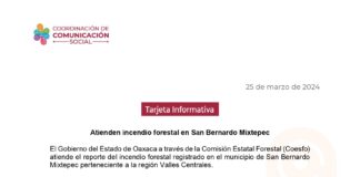 Atienden incendio forestal en San Bernardo Mixtepec