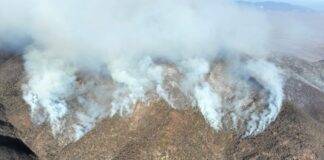 DETRÁS DE LA NOTICIA: Podrían surgir estallidos sociales por desatención a los incendios