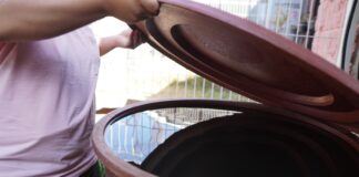 Cuidado del agua, fundamental para evitar criaderos de mosquito transmisor de dengue: SSO