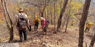 Notifica Coesfo control total en incendio de Santiago Lachiguiri