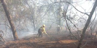 Atienden incendio en San Juan Bautista Guelache