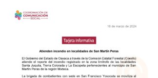 Atienden incendio en localidades de San Martín Peras