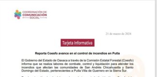 Reporta Coesfo avance en el control de incendios en Putla