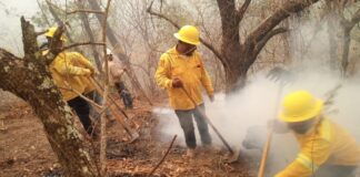 Liquida Coesfo incendios en Sierra Sur y Sierra de Juárez