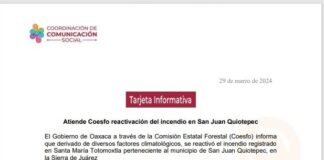 Atiende Coesfo reactivación del incendio en San Juan Quiotepec