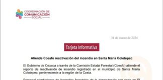 Atiende Coesfo reactivación del incendio en Santa María Colotepec