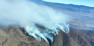 Plan estratégico de combate, crucial en la liquidación del incendio en San Lucas Quiaviní