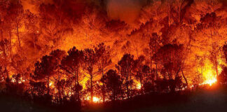 Activa Coesfo brigadas para atender incendios forestales en la Mixteca y Sierra de Juárez