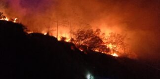 Combate Coesfo incendio originado en Santiago Lachiguiri
