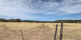 Condenan a 15 años de prisión a tres responsables de Despojo cometido en la región de la Mixteca