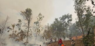 Comunidades chinantecas piden intervención de AMLO para atender incendios forestales