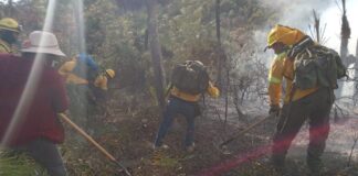 Liquida Coesfo incendio forestal en Santiago Tilantongo