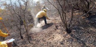 Reporta Gobierno del Estado 90% de control y 50% de liquidación de incendio originado en San Lucas Quiaviní