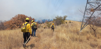 Atiende Coesfo incendio forestal en Cuilápam