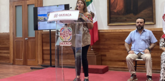 Van mil hectáreas afectadas por incendios en Oaxaca: Coesfo