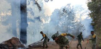 Combaten incendio forestal en agencia de Asunción Mixtepec