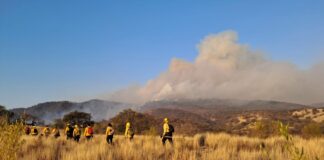 Controlan incendio forestal en la Mixteca