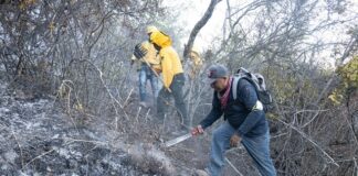 Avanza Coesfo con apertura de brecha cortafuego en perimetros de incendio en San Lucas Quiavini