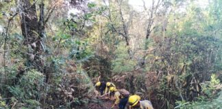 Controlado incendio forestal en Putla Villa de Guerrero
