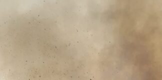 Reporta Coesfo 4 incendios activos en Oaxaca