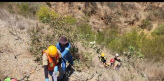 Se registran múltiples accidentes viales en Oaxaca