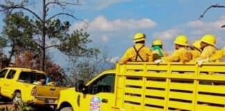 Atienden reporte de incendio forestal en la Sierra de Flores Magón y Sierra de Juárez