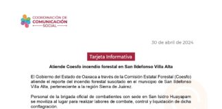Atiende Coesfo incendio forestal en San Ildefonso Villa Alta