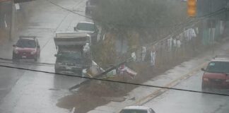 Lluvia en la capital oaxaqueña deja árboles caídos y cortes de energía eléctrica