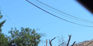 Multará San Jacinto Amilpas a responsables de tala ilegal en Brenamiel