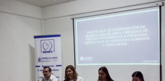 En crisis la libertad de expresión en México, señala CIDH: Elizabeth Lara