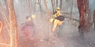 Controlado al 100 por ciento incendio en la Costa