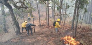 Atiende Coesfo incendio en la Sierra Sur