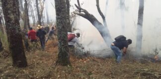 Reportan 75% de control en incendio forestal de San Andrés Huayapam