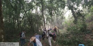 Refuerza Coesfo atención a incendio forestal en la Mixteca