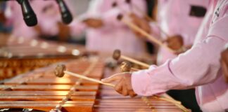 Convocan al Concurso estatal “Canto de mi tierra”