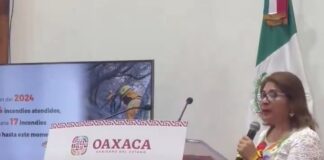 Reporta Coesfo 8 incendios activos en Oaxaca