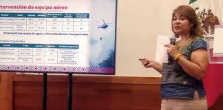 Disminuyen incendios en Oaxaca, hay 7 activos