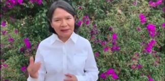 Es un disparate la designación Diana Carmelita Ángel Ricardez en la candidatura al Senado, opina Sofia Castro